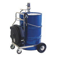 Pompe &agrave; huile pneumatique de s&eacute;rie LD, 7,8 gal./min, Rapport de pression de 3:1 Air Extreme Inc.