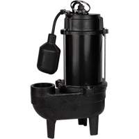 Cast Iron Sewage Pump, 120 V, 9.5 A, 6000 GPH, 1/2 HP Air Extreme Inc.