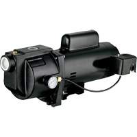 Dual Voltage Cast Iron Shallow Well Jet Pump, 115 V/230 V, 1260 GPH, 1 HP Air Extreme Inc.