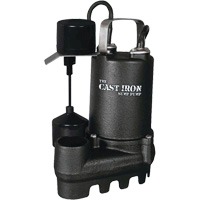 Cast Iron Submersible Sump Pump with Vertical Float Switch, 67 GPM, 33 V, 5 A, 1/3 HP Air Extreme Inc.