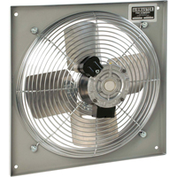 All Purpose Wall Fans, Commercial, 2 Speed, 10" Diameter Air Extreme Inc.