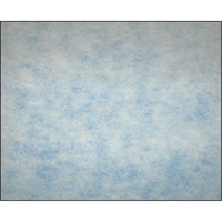 High-Arrestance Synthetic Media Filters, Pad, MERV 5, 24" W x 2" D x 12" H Air Extreme Inc.