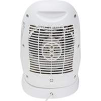 Portable Convection Heater, Fan, Electric, 5200 Air Extreme Inc.