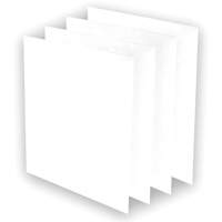 Pr&eacute;-filtres AeraMax Pro AM3 ou AM4, 13,75" la x 0,13" p x 14,38" h Air Extreme Inc.