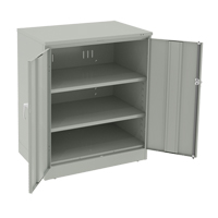 Deluxe Counter High Cabinet, Steel, 2 Shelves, 42" H x 36" W x 24" D, Light Grey Air Extreme Inc.