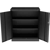 Standard Counter-High Cabinet, Steel, 2 Shelves, 42" H x 36" W x 18" D, Black Air Extreme Inc.