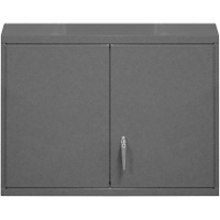 Wall-Mounted Cabinet, 27" H x 29-7/8" W x 13-11/16" D, 2 Shelves, Steel, Grey Air Extreme Inc.