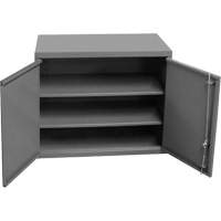 Wall-Mounted Cabinet, 27" H x 13-11/16" W x 35-7/8" D, 2 Shelves, Steel, Grey Air Extreme Inc.