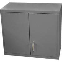 Wall-Mounted Cabinet, 27" H x 13-11/16" W x 35-7/8" D, 2 Shelves, Steel, Grey Air Extreme Inc.