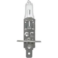 64155 Ampoule automobile de base, Halog&egrave;ne, 78 W, Blanc cass&eacute; Air Extreme Inc.