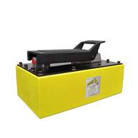 5 Quart Air Hydraulic Pump Air Extreme Inc.