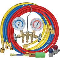 Manifold Gauge Set with Manual Couplers & Mini Dye Injector Air Extreme Inc.