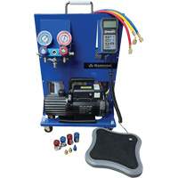 Poste de recharge &eacute;lectronique portable double &agrave; 1 phase R134A/R1234Yf Air Extreme Inc.