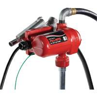 Pompe de transfert de carburant 12 V CC avec pistolet Air Extreme Inc.