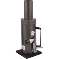 Safety Locking Collar Jack, 6" Stroke, 50 Ton(s) Capacity, 10000 PSI Air Extreme Inc.