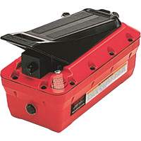 10000 PSI Air/Hydraulic Foot Pump Air Extreme Inc.