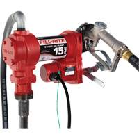 12V DC Fuel Transfer Pump with Nozzle Air Extreme Inc.