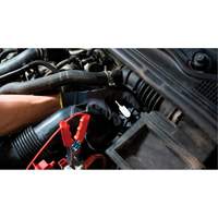 Pompette de purge de frein Brake-Pro &agrave; structure haute avec adaptateurs Air Extreme Inc.