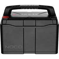 Batterie lithium-ion LiFePO4 &agrave; double usage de groupe 31, 120 Ah Air Extreme Inc.