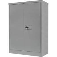 Counter-High Storage Cabinet, Steel, 2 Shelves, 42" H x 48" W x 24" D, Grey Air Extreme Inc.