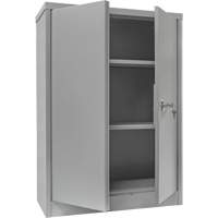 Counter-High Storage Cabinet, Steel, 2 Shelves, 42" H x 48" W x 24" D, Grey Air Extreme Inc.