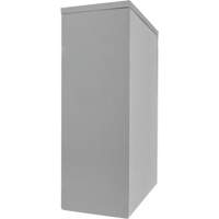 Counter-High Storage Cabinet, Steel, 2 Shelves, 42" H x 48" W x 24" D, Grey Air Extreme Inc.