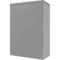 Counter-High Storage Cabinet, Steel, 2 Shelves, 42" H x 48" W x 24" D, Grey Air Extreme Inc.