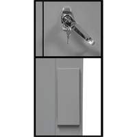 Counter-High Storage Cabinet, Steel, 2 Shelves, 42" H x 48" W x 24" D, Grey Air Extreme Inc.