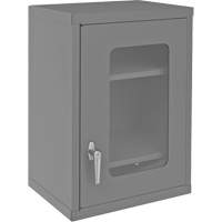 Wall-Mountable Storage Cabinet with Clearview Doors, 26-15/16" H x 18-1/8" W x 13-11/16" D, 2 Shelves, Steel, Grey Air Extreme Inc.