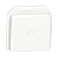 Faux capteurs de d&eacute;tecteur des gaz BW pour endroits toxiques Air Extreme Inc.