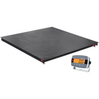 Defender 3000 Floor Scale, 5000 lbs. Capacity, 4' L x 4' W Air Extreme Inc.