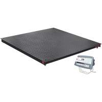 DEFENDER 5000 Floor Scale, 2500 lbs. Capacity, 48" W x 48" L Air Extreme Inc.