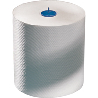 Advanced Roll Towels, 1 Ply, Standard, 700' L Air Extreme Inc.