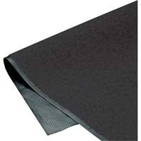 ColorStar Matting, Wiper, 3' x 5' x 3/8", Charcoal Air Extreme Inc.