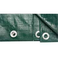 Tarp, Heavy-Duty, Green, 8' x 6' x 9 mils Air Extreme Inc.