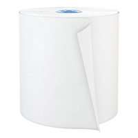 Pro Perform Roll Hand Towels, 1 Ply, Standard, 775' L Air Extreme Inc.
