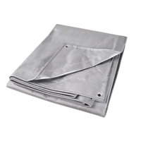 Tarp, Super Heavy-Duty, Silver, 10' x 8' x 12 mils Air Extreme Inc.