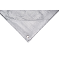Tarp, Super Heavy-Duty, Silver, 10' x 8' x 12 mils Air Extreme Inc.