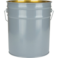 Lined Pail, Steel, 18.9 L Air Extreme Inc.