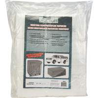 Clear Tarp, 12' x 10' x 8 mils Air Extreme Inc.