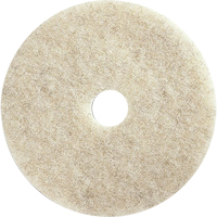 Tampons pour l'entretien des planchers, 21", Brunissage, Brun Air Extreme Inc.