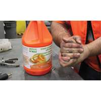 Orange Hand Cleaner, Pumice, 3.6 L, Jug, Orange Air Extreme Inc.
