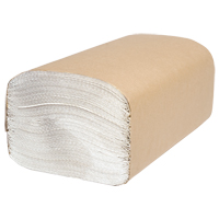 Everest Pro Singlefold Hand Towels, 1 Ply, 10-1/4" L x 9-1/4" W, 250 /Pack Air Extreme Inc.