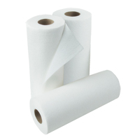 Essuie-mains Pro Signature, 1 Pli, 72 Feuilles/rouleau, 9,4" la, 11" lo Air Extreme Inc.