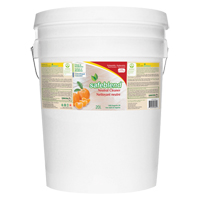 Nettoyant neutre, 20 L, Seau Air Extreme Inc.