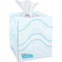 Pro Signature Facial Tissue, 2 Ply, 8" L x 8" W, 90 Sheets/Box Air Extreme Inc.