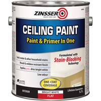 Ceiling Paint & Primer in One, White, Very Flat, 3.78 L, Gallon Air Extreme Inc.