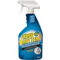Vaporisateur contre les moisissures, 650 ml, Bouteille &agrave; g&acirc;chette Air Extreme Inc.