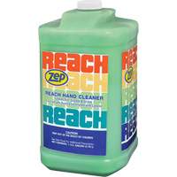 Reach Extra Heavy-Duty Hand Cleaner, Pumice, 3.78 L, Jug, Scented Air Extreme Inc.
