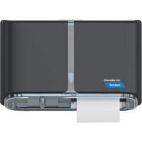 Distributeur haute capacit&eacute; de papier hygi&eacute;nique Pro Tandem &agrave; deux rouleaux, c&ocirc;te &agrave; c&ocirc;te, Multiple Capacit&eacute; du rouleau Air Extreme Inc.